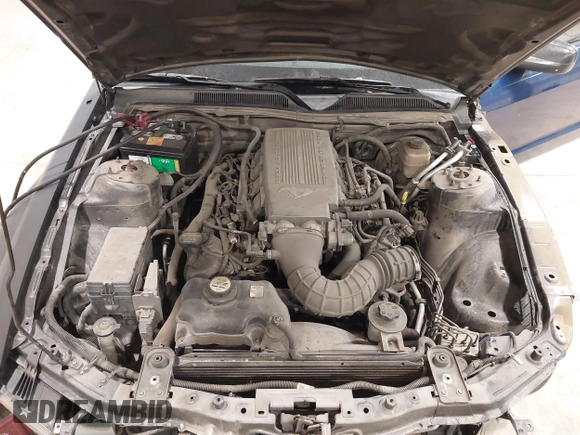 2008 Ford Mustang GT Deluxe with VIN 1ZVHT82H285206346, listed as a IAAI auction lot 41835440 with 116,750 mi miles and . Bid and sale history available at DreamBid. Image 10.
