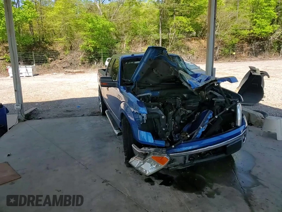 2012 Ford F-150 XL with VIN 1FTEX1CM6CFC87433, listed as a Copart auction lot 52502655 with Not Provided miles and Salvage Title. Bid and sale history available at carsss.com. Image 10.