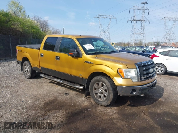 2009 Ford F-150 XL with VIN 1FTPW14V49KC41926, listed as a IAAI auction lot 42010884 with 132,529 mi miles. Bid and sale history available at carsss.com. Image 1.