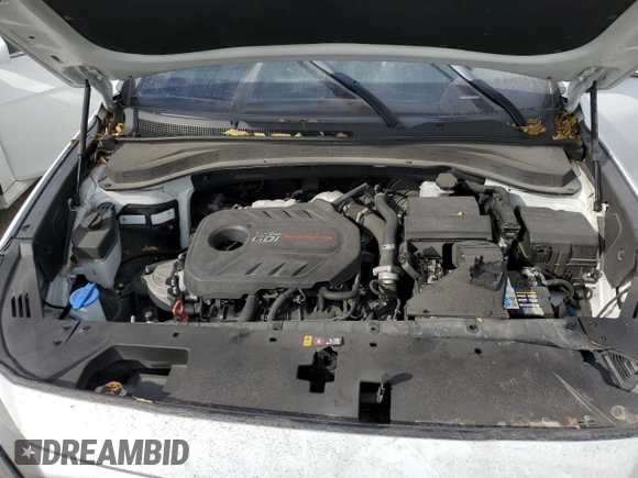 2019 Hyundai Santa Fe Limited z VIN 5NMS5CAA6KH024177, wystawiony jako Copart lot #75349144 z przebiegiem 67 804 mil mil oraz Nie do naprawy • Non repairable. Historia ofert i sprzedaży dostępna na DreamBid. Obrazek 12.