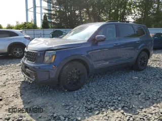2024 Kia Telluride SX Prestige X-Pro with VIN 5XYP5DGC3RG443483, listed as a Copart auction lot 58978175 with 21,902 mi miles and Salvage title. Bid and sale history available at DreamBid. Image 1.