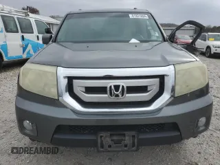 2009 Honda Pilot EX-L z VIN 5FNYF38659B015359, wystawiony jako Copart lot #81931884 z przebiegiem 256 430 mil mil oraz Szkoda całkowita • Salvage title. Historia ofert i sprzedaży dostępna na DreamBid. Obrazek 5.