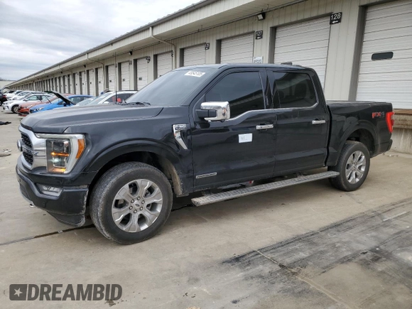2022 Ford F-150 XL with VIN 1FTFW1EDXNFA24966, listed as a Copart auction lot 49545105 with 33,704 mi miles and Salvage Title. Bid and sale history available at DreamBid. Image 1.