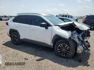 2019 Toyota RAV4 LE with VIN JTMH1RFV6KJ010214, listed as a Copart auction lot 54684325 with 0 mi miles and Clean Title. Bid and sale history available at carsss.com. Image 4.