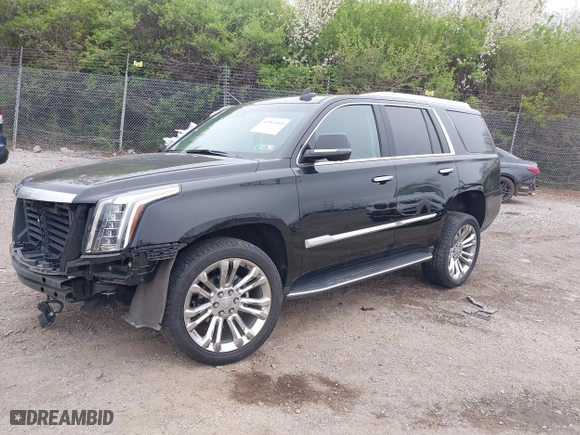2019 Cadillac Escalade Premium Luxury with VIN 1GYS4CKJ5KR131129, listed as a IAAI auction lot 41983905 with 32,568 mi miles. Bid and sale history available at carsss.com. Image 2.
