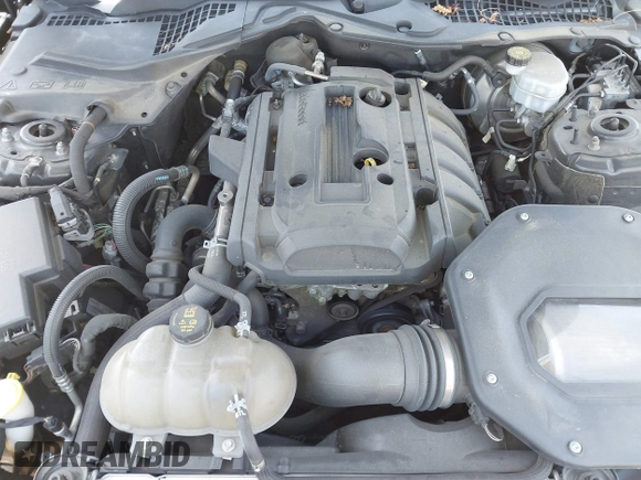 2019 Ford Mustang EcoBoost with VIN 1FA6P8TH4K5159573, listed as a IAAI auction lot 42207962 with 121,225 mi miles and . Bid and sale history available at DreamBid. Image 10.