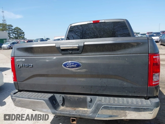 2016 Ford F-150 XL with VIN 1FTEW1CP0GKF53443, listed as a IAAI auction lot 41940570 with 96,303 mi miles and . Bid and sale history available at carsss.com. Image 16.