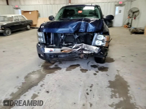 2009 Chevrolet Silverado 1500 Work Truck with VIN 1GCEC14X49Z204237, listed as a Copart auction lot 86647874 with Not Provided miles and Salvage Title. Bid and sale history available at DreamBid. Image 11.