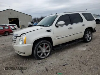 2010 Cadillac Escalade Premium with VIN 1GYUKCEF6AR265796, listed as a Copart auction lot 82295614 with 125,109 mi miles and Salvage title. Bid and sale history available at DreamBid. Image 1.