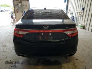 2016 Hyundai Azera Limited с VIN KMHFH4JG0GA563202, выставлен на аукционе Copart как лот 55341115 с пробегом Не указан миль и Списание • Salvage title. История ставок и продаж доступна на DreamBid. Изображение 6.