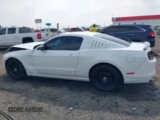 2014 Ford Mustang V6 с VIN 1ZVBP8AM2E5318701, выставлен на аукционе IAAI как лот 42265557 с пробегом 97 870 миль миль и . История ставок и продаж доступна на DreamBid. Изображение 15.