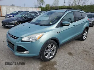 2013 Ford Escape SEL with VIN 1FMCU9H91DUA03735, listed as a Copart auction lot 48357294 with 115,523 mi miles and Salvage Title. Bid and sale history available at carsss.com. Image 1.
