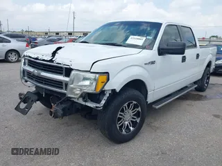 2010 Ford F-150 XL with VIN 1FTEW1C80AKE48904, listed as a IAAI auction lot 42110005 with 255,883 mi miles. Bid and sale history available at carsss.com. Image 2.