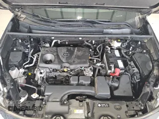 2023 Toyota RAV4 XLE с VIN 2T3P1RFV1PC342230, выставлен на аукционе Copart как лот 62384085 с пробегом 31 672 миль миль и Чистый • Clean title. История ставок и продаж доступна на DreamBid. Изображение 12.