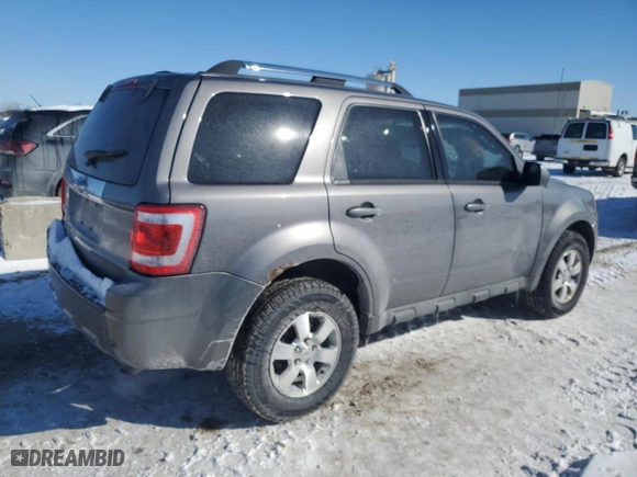 2009 Ford Escape Limited with VIN 1FMCU04769KB22223, listed as a Copart auction lot 46151335 with 191,329 mi miles and Salvage Title. Bid and sale history available at carsss.com. Image 3.
