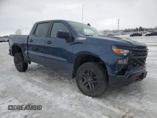 2022 Chevrolet Silverado 1500 Custom Trail Boss with VIN 3GCPDCED4NG506191, listed as a Copart auction lot 42057715 with 95,471 mi miles and Salvage Title. Bid and sale history available at DreamBid. Image 4.