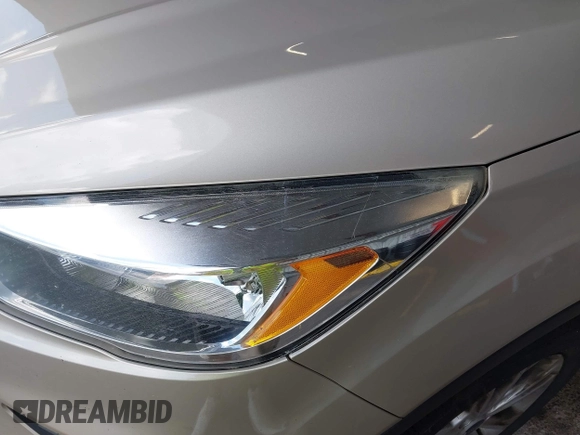 2017 Ford Escape S with VIN 1FMCU0F76HUD86123, listed as a IAAI auction lot 42753873 with 193,597 mi miles and . Bid and sale history available at DreamBid. Image 6.