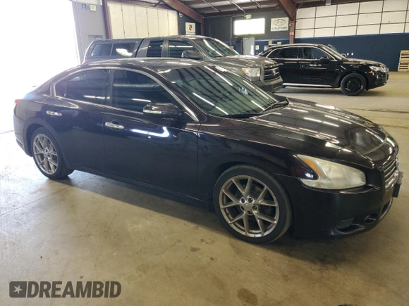 2010 Nissan Maxima SV with VIN 1N4AA5AP7AC846576, listed as a Copart auction lot 56277125 with 219,851 mi miles and Clean title. Bid and sale history available at DreamBid. Image 4.