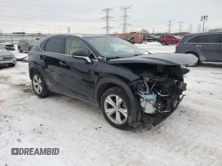 2017 Lexus NX 300h with VIN JTJBJRBZ7H2053412, listed as a Copart auction lot 44462015 with 50,076 mi miles and Salvage Title. Bid and sale history available at DreamBid. Image 4.