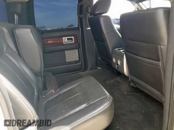 2009 Ford F-150 XL с VIN 1FTPW12V89KB33439, выставлен на аукционе Copart как лот 65005005 с пробегом 209 714 миль миль и Списание • Salvage title. История ставок и продаж доступна на DreamBid. Изображение 10.