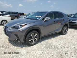 2019 Lexus NX 300 with VIN JTJBARBZ1K2183192, listed as a Copart auction lot 53644305 with 43,832 mi miles and Salvage Title. Bid and sale history available at DreamBid. Image 1.