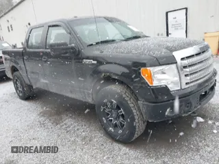 2014 Ford F-150 XL with VIN 1FTFW1EFXEFB24020, listed as a IAAI auction lot 41728918 with 117,729 mi miles. Bid and sale history available at carsss.com. Image 1.