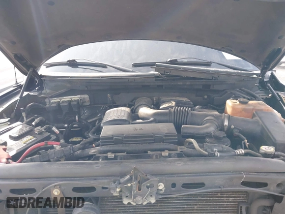 2010 Ford F-150 XL with VIN 1FTFW1EVXAFB35715, listed as a IAAI auction lot 42386240 with 206,535 mi miles and . Bid and sale history available at DreamBid. Image 10.