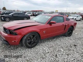 2010 Ford Mustang GT with VIN 1ZVBP8CH1A5124090, listed as a Copart auction lot 81806634 with 69,133 mi miles and Salvage title. Bid and sale history available at DreamBid. Image 1.