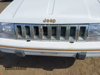 1994 Jeep Grand Cherokee Limited with VIN 1J4GZ78Y2RC344121, listed as a IAAI auction lot 42489350 with 219,186 mi miles and . Bid and sale history available at DreamBid. Image 6.