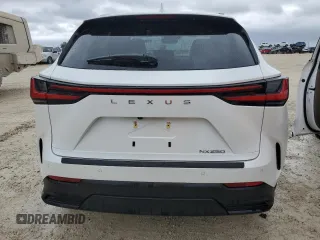 2025 Lexus NX with VIN JTJGDCAZ2S2016027, listed as a Copart auction lot 74098194 with 0 mi miles and Non Repairable. Bid and sale history available at carsss.com. Image 6.