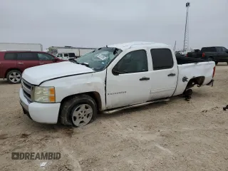 2009 Chevrolet Silverado 1500 LT with VIN 3GCEC23C99G109242, listed as a Copart auction lot 45312595 with 166,422 mi miles and Non Repairable. Bid and sale history available at DreamBid. Image 1.