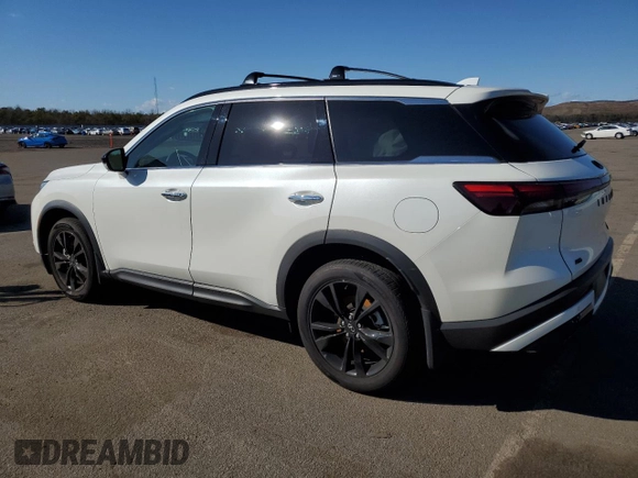 2025 Infiniti QX60 Luxe with VIN 5N1AL1FS5SC338274, listed as a Copart auction lot 48479865 with 1,002 mi miles and Salvage title. Bid and sale history available at DreamBid. Image 2.