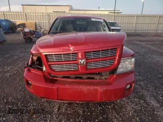 2010 Dodge Dakota SXT with VIN 1D7CW3GP5AS132893, listed as a Copart auction lot 81502524 with 256,032 mi miles and Clean Title. Bid and sale history available at carsss.com. Image 5.