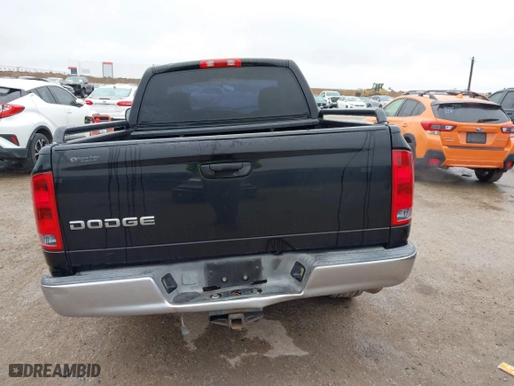 2003 Dodge Ram 1500 ST with VIN 1D7HA16K13J506634, listed as a IAAI auction lot 41529060 with 165,898 mi miles. Bid and sale history available at carsss.com. Image 16.