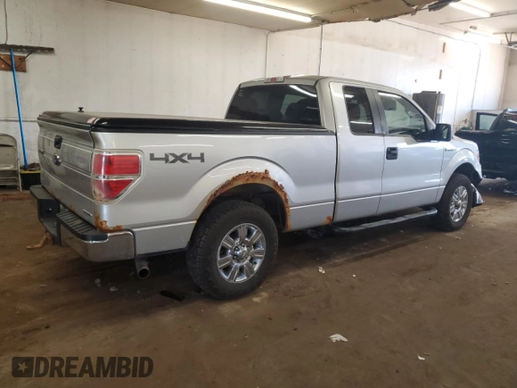 2013 Ford F-150 XL with VIN 1FTFX1EF1DFA81215, listed as a Copart auction lot 63077885 with 300,634 mi miles and Non repairable. Bid and sale history available at DreamBid. Image 3.