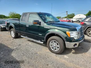 2012 Ford F-150 XL with VIN 1FTFX1ET6CFB05495, listed as a Copart auction lot 64080505 with 161,251 mi miles and Clean title. Bid and sale history available at DreamBid. Image 4.