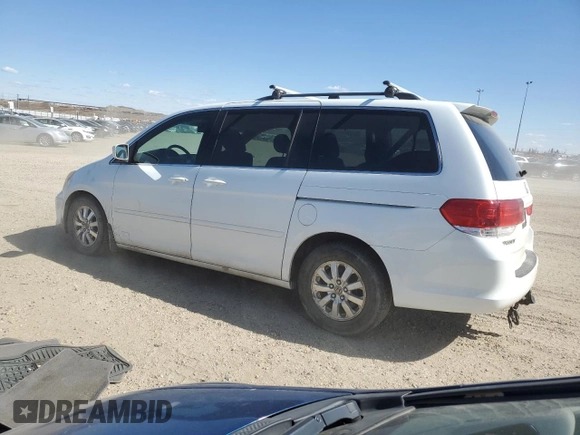 2009 Honda Odyssey EX-L with VIN 5FNRL38679B504312, listed as a Copart auction lot 53878465 with 239,462 mi miles and Salvage Title. Bid and sale history available at carsss.com. Image 2.