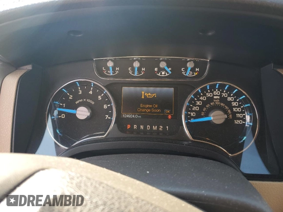 2013 Ford F-150 XL with VIN 1FTFW1ET8DKE61054, listed as a Copart auction lot 64204095 with 124,924 mi miles and Salvage title. Bid and sale history available at DreamBid. Image 9.