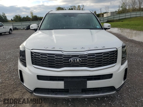 2020 Kia Telluride S with VIN 5XYP6DHC1LG004043, listed as a Copart auction lot 53561515 with 50,232 mi miles and Non Repairable. Bid and sale history available at DreamBid. Image 5.