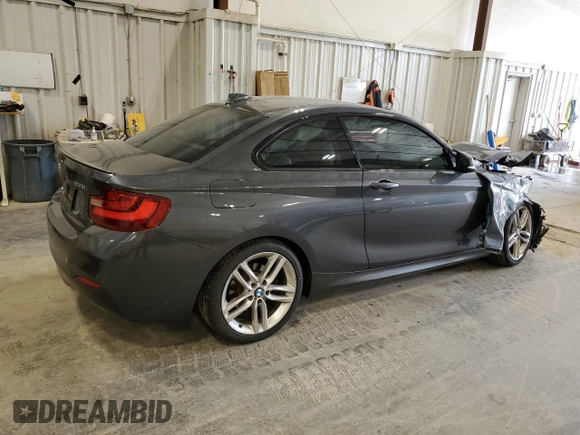 2015 BMW 2 Series 228i with VIN WBA1F5C59FV343633, listed as a Copart auction lot 60329925 with 123,644 mi miles and Non repairable. Bid and sale history available at DreamBid. Image 3.