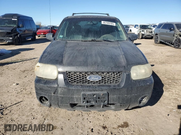 2006 Ford Escape Limited with VIN 1FMYU04196KA34229, listed as a Copart auction lot 46709785 with 203,203 mi miles and Salvage title. Bid and sale history available at DreamBid. Image 5.