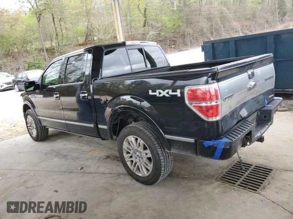 2011 Ford F-150 XL with VIN 1FTFW1EF9BFA03071, listed as a Copart auction lot 50087075 with 206,369 mi miles and Salvage Title. Bid and sale history available at carsss.com. Image 2.