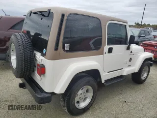 2002 Jeep Wrangler Sahara with VIN 1J4FA59S02P727359, listed as a Copart auction lot 74823414 with 84,186 mi miles and Salvage Title. Bid and sale history available at carsss.com. Image 3.