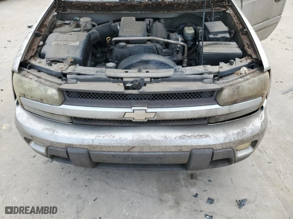2003 Chevrolet TrailBlazer LS with VIN 1GNDT13S632352110, listed as a Copart auction lot 42666265 with 253,492 mi miles and Clean Title. Bid and sale history available at carsss.com. Image 11.