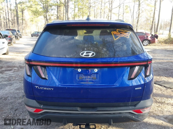 2023 Hyundai Tucson SEL with VIN 5NMJBCAE7PH186818, listed as a IAAI auction lot 41753023 with 32,548 mi miles. Bid and sale history available at carsss.com. Image 17.