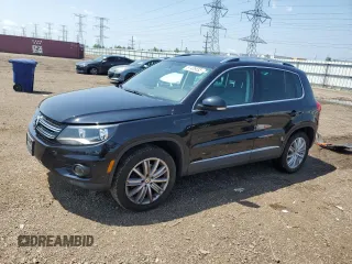 2013 Volkswagen Tiguan SE with VIN WVGBV3AX1DW588075, listed as a Copart auction lot 61406635 with 118,820 mi miles and Salvage title. Bid and sale history available at DreamBid. Image 1.