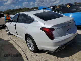 2025 Cadillac CT5 Premium Luxury with VIN 1G6DN5RW9S0100675, listed as a Copart auction lot 77497624 with Not provided miles and Salvage title. Bid and sale history available at DreamBid. Image 2.
