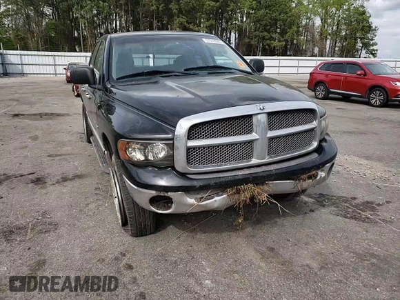 2002 Dodge 1500 z VIN 1D7HU18Z32J255342, wystawiony jako Copart lot #51678385 z przebiegiem 195 161 mil mil oraz Szkoda całkowita • Salvage title. Historia ofert i sprzedaży dostępna na DreamBid. Obrazek 11.