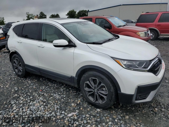 2020 Honda CR-V EX with VIN 7FARW1H59LE004988, listed as a Copart auction lot 59726565 with 38,136 mi miles and Salvage title. Bid and sale history available at DreamBid. Image 4.