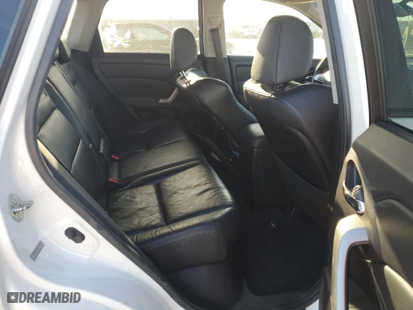 2010 Acura RDX Tech Pkg with VIN 5J8TB2H52AA003076, listed as a Copart auction lot 80296204 with 0 mi miles and Salvage Title. Bid and sale history available at carsss.com. Image 10.